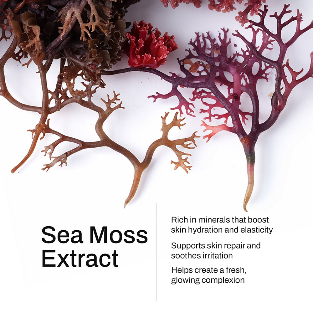 TALAVÉA™ Sea Moss Post-Shave Oil